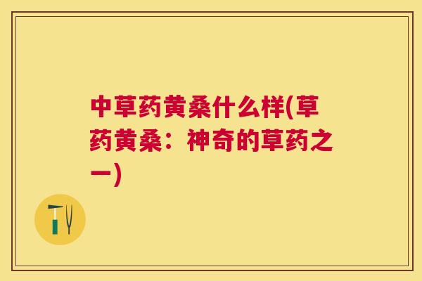 中草药黄桑什么样(草药黄桑:神奇的草药之一) 中草药黄桑什么样(草药黄桑:神奇的草药之一)