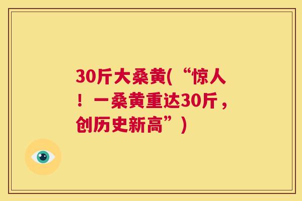 30斤大桑黄(“惊人!一桑黄重达30斤,创历史新高”) 30斤大桑黄(“惊人!一桑黄重达30斤,创历史新高”)