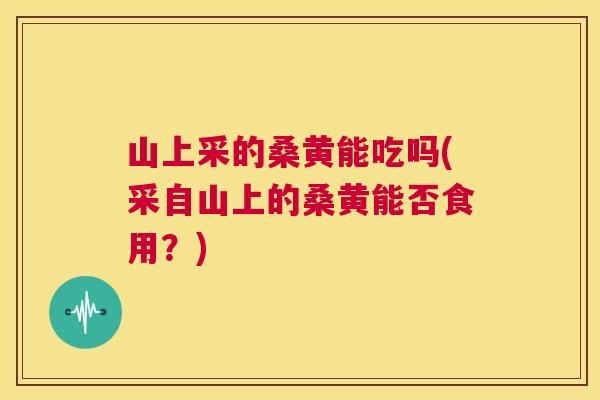山上采的桑黄能吃吗(采自山上的桑黄能否食用?) 山上采的桑黄能吃吗(采自山上的桑黄能否食用?)