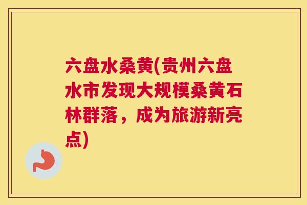 六盘水桑黄(贵州六盘水市发现大规模桑黄石林群落,成为旅游新亮点) 六盘水桑黄(贵州六盘水市发现大规模桑黄石林群落,成为旅游新亮点)