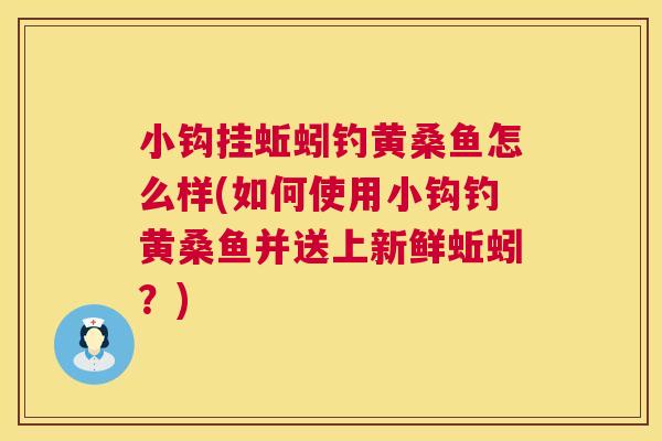 小钩挂蚯蚓钓黄桑鱼怎么样(如何使用小钩钓黄桑鱼并送上新鲜蚯蚓?) 小钩挂蚯蚓钓黄桑鱼怎么样(如何使用小钩钓黄桑鱼并送上新鲜蚯蚓?)