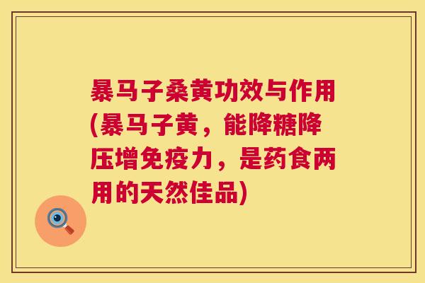 暴马子桑黄功效与作用(暴马子黄,能降糖增力,是药食两用的天然佳品) 暴马子桑黄功效与作用(暴马子黄,能降糖增力,是药食两用的天然佳品)