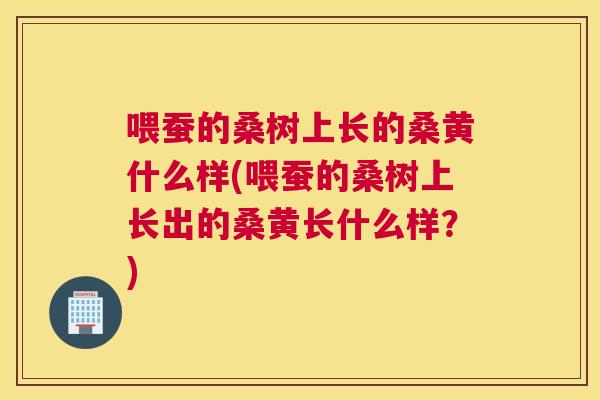 喂蚕的桑树上长的桑黄什么样(喂蚕的桑树上长出的桑黄长什么样?) 喂蚕的桑树上长的桑黄什么样(喂蚕的桑树上长出的桑黄长什么样?)