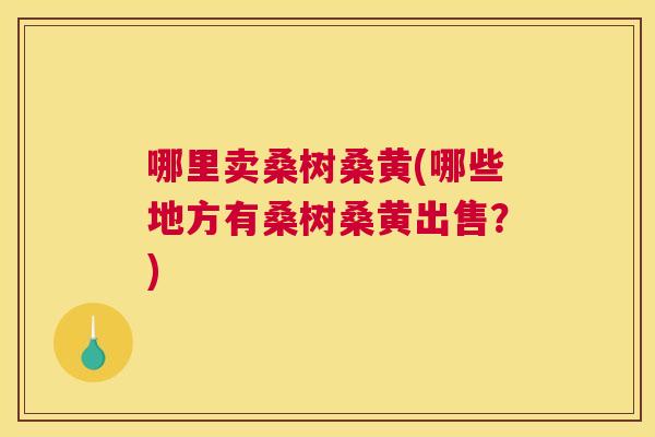 哪里卖桑树桑黄(哪些地方有桑树桑黄出售?) 哪里卖桑树桑黄(哪些地方有桑树桑黄出售?)