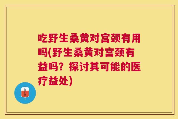 吃野生桑黄对宫颈有用吗(野生桑黄对宫颈有益吗?探讨其可能的医疗益处) 吃野生桑黄对宫颈有用吗(野生桑黄对宫颈有益吗?探讨其可能的医疗益处)