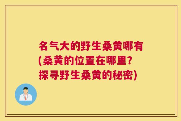 名气大的野生桑黄哪有(桑黄的位置在哪里?探寻野生桑黄的秘密) 名气大的野生桑黄哪有(桑黄的位置在哪里?探寻野生桑黄的秘密)