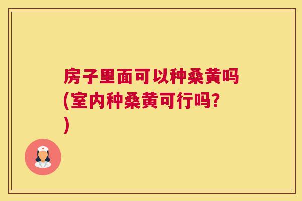 房子里面可以种桑黄吗(室内种桑黄可行吗?) 房子里面可以种桑黄吗(室内种桑黄可行吗?)