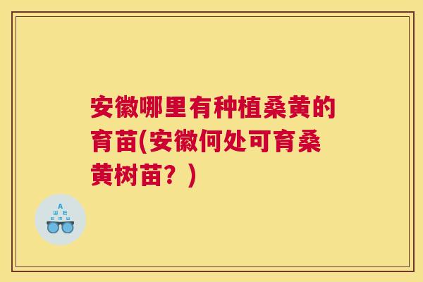 安徽哪里有种植桑黄的育苗(安徽何处可育桑黄树苗?) 安徽哪里有种植桑黄的育苗(安徽何处可育桑黄树苗?)