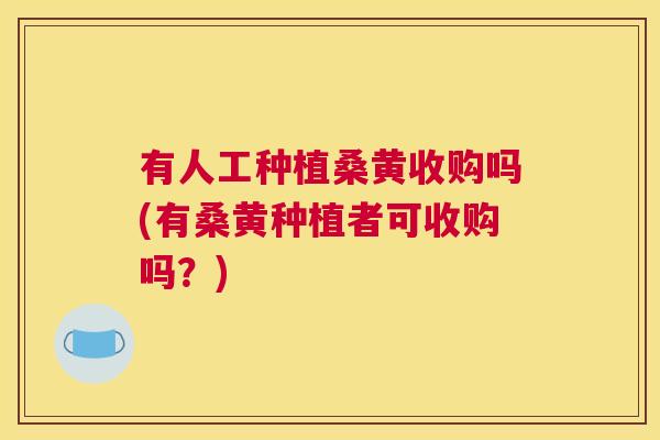 有人工种植桑黄收购吗(有桑黄种植者可收购吗?) 有人工种植桑黄收购吗(有桑黄种植者可收购吗?)