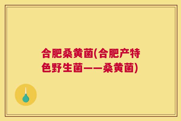 合肥桑黄菌(合肥产特色野生菌——桑黄菌) 合肥桑黄菌(合肥产特色野生菌——桑黄菌)