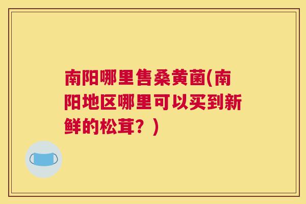 南阳哪里售桑黄菌(南阳地区哪里可以买到新鲜的松茸?) 南阳哪里售桑黄菌(南阳地区哪里可以买到新鲜的松茸?)
