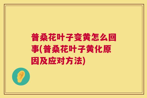 普桑花叶子变黄怎么回事(普桑花叶子黄化原因及应对方法) 普桑花叶子变黄怎么回事(普桑花叶子黄化原因及应对方法)