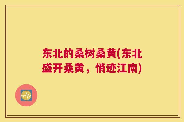东北的桑树桑黄(东北盛开桑黄,悄迹江南) 东北的桑树桑黄(东北盛开桑黄,悄迹江南)