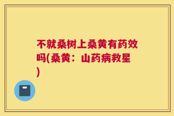 不就桑树上桑黄有吗(桑黄:山药救星) 不就桑树上桑黄有吗(桑黄:山药救星)