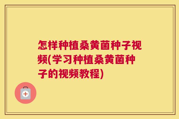 怎样种植桑黄菌种子视频(学习种植桑黄菌种子的视频教程) 怎样种植桑黄菌种子视频(学习种植桑黄菌种子的视频教程)