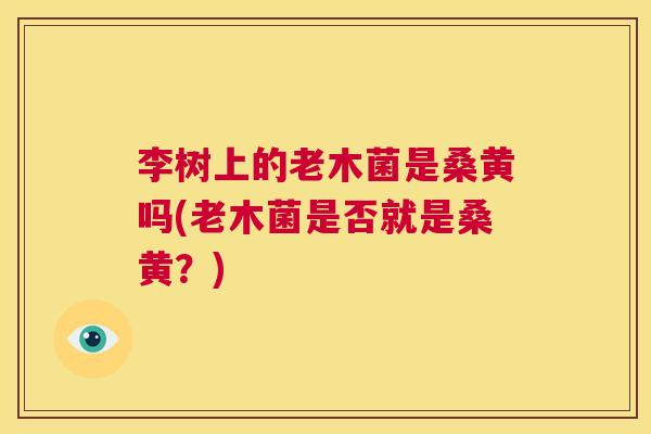 李树上的老木菌是桑黄吗(老木菌是否就是桑黄?) 李树上的老木菌是桑黄吗(老木菌是否就是桑黄?)