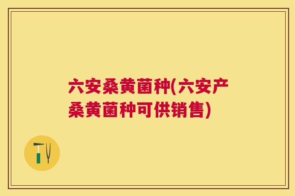 六安桑黄菌种(六安产桑黄菌种可供销售) 六安桑黄菌种(六安产桑黄菌种可供销售)