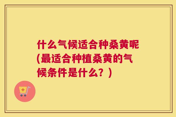什么气候适合种桑黄呢(适合种植桑黄的气候条件是什么?) 什么气候适合种桑黄呢(适合种植桑黄的气候条件是什么?)
