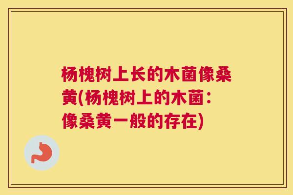 杨槐树上长的木菌像桑黄(杨槐树上的木菌:像桑黄一般的存在) 杨槐树上长的木菌像桑黄(杨槐树上的木菌:像桑黄一般的存在)