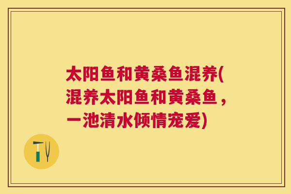 太阳鱼和黄桑鱼混养(混养太阳鱼和黄桑鱼,一池清水倾情宠爱) 太阳鱼和黄桑鱼混养(混养太阳鱼和黄桑鱼,一池清水倾情宠爱)