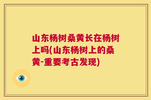 山东杨树桑黄长在杨树上吗(山东杨树上的桑黄-重要考古发现) 山东杨树桑黄长在杨树上吗(山东杨树上的桑黄-重要考古发现)