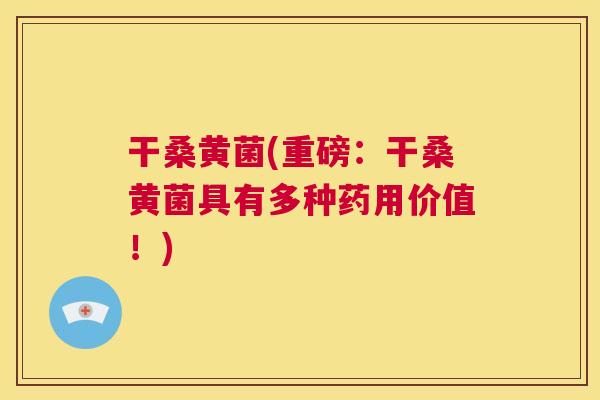 干桑黄菌(重磅:干桑黄菌具有多种药用价值!) 干桑黄菌(重磅:干桑黄菌具有多种药用价值!)