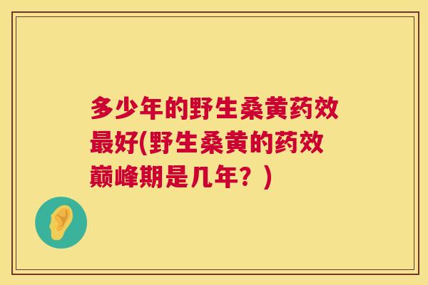 多少年的野生桑黄好(野生桑黄的巅峰期是几年?) 多少年的野生桑黄好(野生桑黄的巅峰期是几年?)