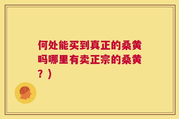 何处能买到真正的桑黄吗哪里有卖正宗的桑黄?) 何处能买到真正的桑黄吗哪里有卖正宗的桑黄?)