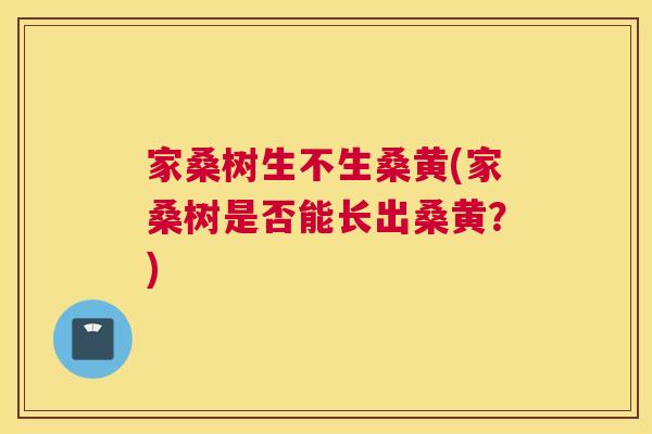 家桑树生不生桑黄(家桑树是否能长出桑黄?) 家桑树生不生桑黄(家桑树是否能长出桑黄?)