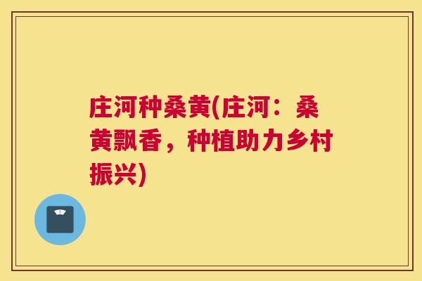 庄河种桑黄(庄河:桑黄飘香,种植助力乡村振兴) 庄河种桑黄(庄河:桑黄飘香,种植助力乡村振兴)