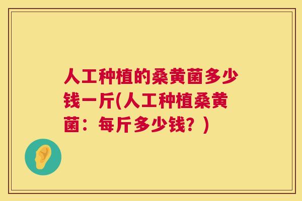人工种植的桑黄菌多少钱一斤(人工种植桑黄菌:每斤多少钱?) 人工种植的桑黄菌多少钱一斤(人工种植桑黄菌:每斤多少钱?)