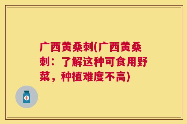 广西黄桑刺(广西黄桑刺：了解这种可食用野菜，种植难度不高)