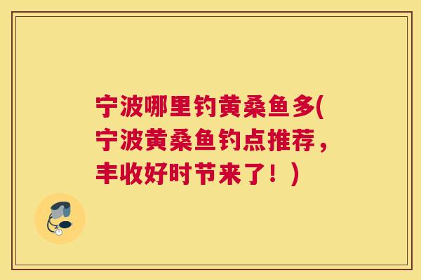 宁波哪里钓黄桑鱼多(宁波黄桑鱼钓点推荐,丰收好时节来了!) 宁波哪里钓黄桑鱼多(宁波黄桑鱼钓点推荐,丰收好时节来了!)