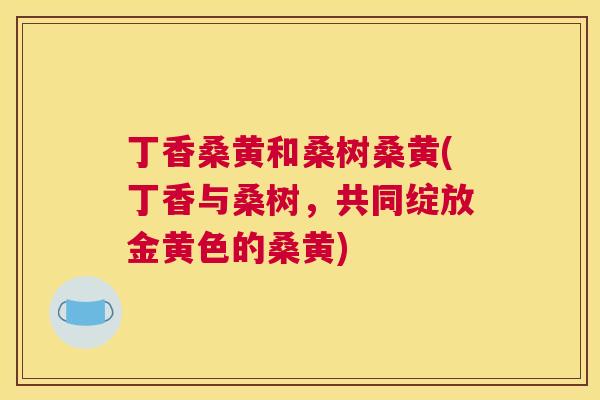 丁香桑黄和桑树桑黄(丁香与桑树，共同绽放金黄色的桑黄)