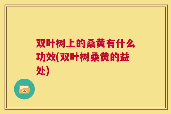 双叶树上的桑黄有什么功效(双叶树桑黄的益处) 双叶树上的桑黄有什么功效(双叶树桑黄的益处)