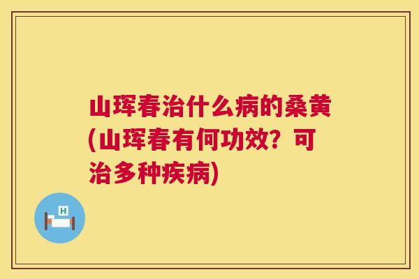 山珲春什么的桑黄(山珲春有何功效?可多种) 山珲春什么的桑黄(山珲春有何功效?可多种)