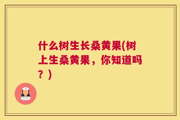 什么树生长桑黄果(树上生桑黄果,你知道吗?) 什么树生长桑黄果(树上生桑黄果,你知道吗?)