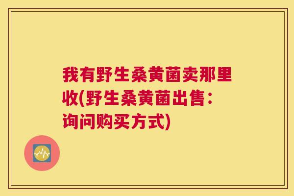 我有野生桑黄菌卖那里收(野生桑黄菌出售:询问购买方式) 我有野生桑黄菌卖那里收(野生桑黄菌出售:询问购买方式)