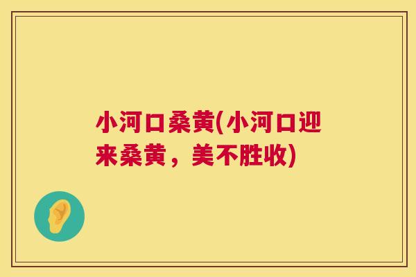 小河口桑黄(小河口迎来桑黄,美不胜收) 小河口桑黄(小河口迎来桑黄,美不胜收)