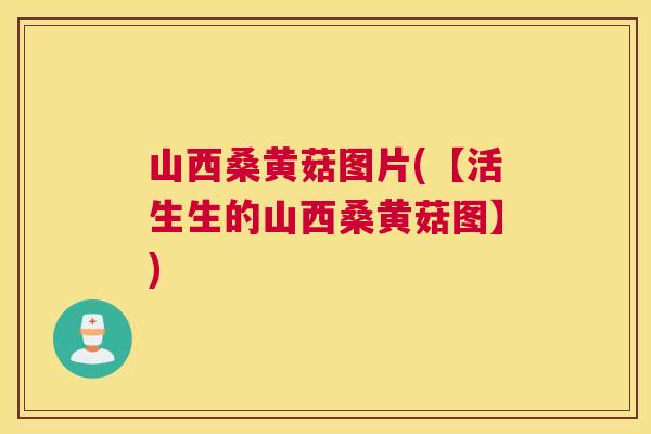 山西桑黄菇图片(【活生生的山西桑黄菇图】) 山西桑黄菇图片(【活生生的山西桑黄菇图】)