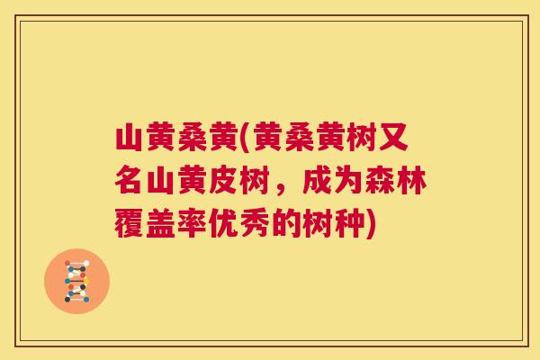 山黄桑黄(黄桑黄树又名山黄皮树,成为森林覆盖率优秀的树种) 山黄桑黄(黄桑黄树又名山黄皮树,成为森林覆盖率优秀的树种)