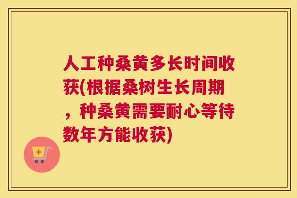 人工种桑黄多长时间收获(根据桑树生长周期,种桑黄需要耐心等待数年方能收获) 人工种桑黄多长时间收获(根据桑树生长周期,种桑黄需要耐心等待数年方能收获)