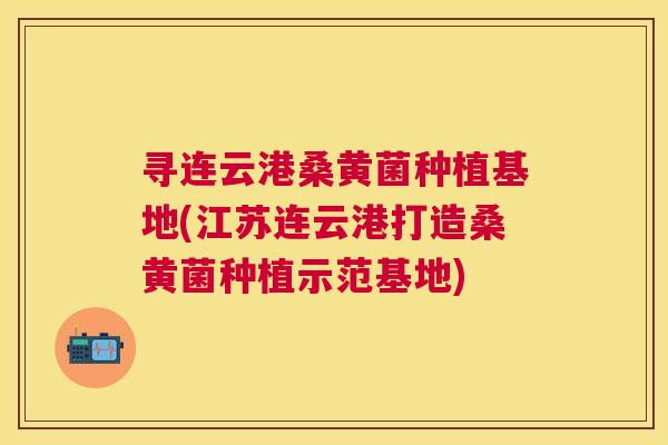寻连云港桑黄菌种植基地(江苏连云港打造桑黄菌种植示范基地) 寻连云港桑黄菌种植基地(江苏连云港打造桑黄菌种植示范基地)