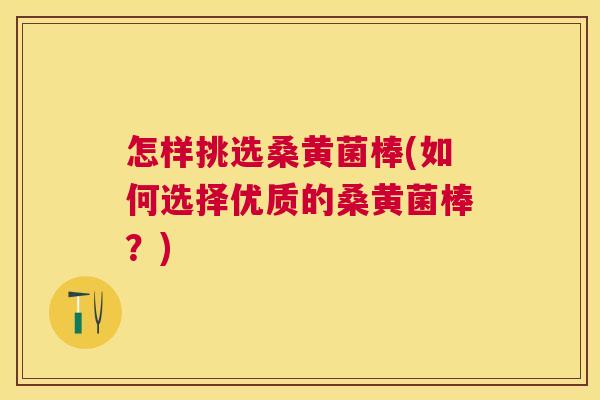 怎样挑选桑黄菌棒(如何选择优质的桑黄菌棒?) 怎样挑选桑黄菌棒(如何选择优质的桑黄菌棒?)