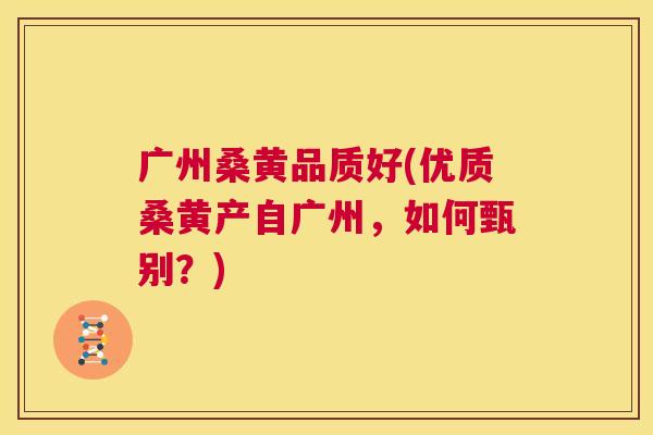 广州桑黄品质好(优质桑黄产自广州,如何甄别?) 广州桑黄品质好(优质桑黄产自广州,如何甄别?)