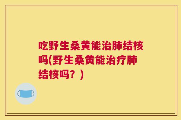 吃野生桑黄能结核吗(野生桑黄能结核吗?) 吃野生桑黄能结核吗(野生桑黄能结核吗?)