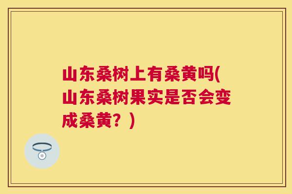 山东桑树上有桑黄吗(山东桑树果实是否会变成桑黄?) 山东桑树上有桑黄吗(山东桑树果实是否会变成桑黄?)