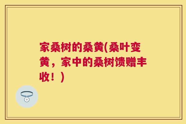 家桑树的桑黄(桑叶变黄,家中的桑树馈赠丰收!) 家桑树的桑黄(桑叶变黄,家中的桑树馈赠丰收!)