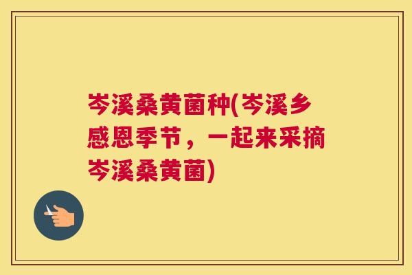岑溪桑黄菌种(岑溪乡感恩季节,一起来采摘岑溪桑黄菌) 岑溪桑黄菌种(岑溪乡感恩季节,一起来采摘岑溪桑黄菌)