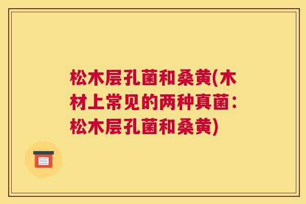 松木层孔菌和桑黄(木材上常见的两种真菌:松木层孔菌和桑黄) 松木层孔菌和桑黄(木材上常见的两种真菌:松木层孔菌和桑黄)